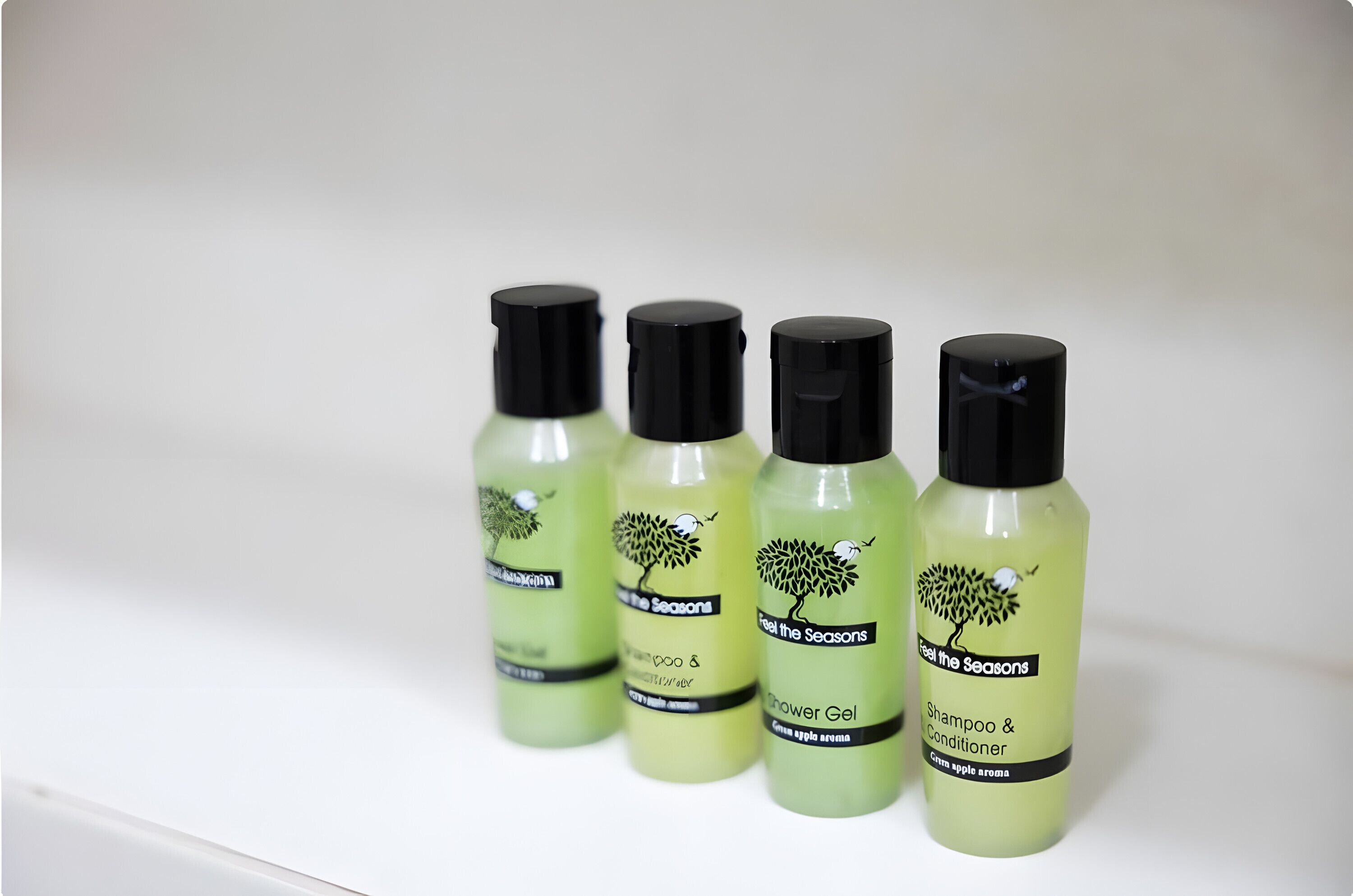 Chuveiro, secador de cabelo, toalhas de banho 