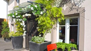 An outdoor seating area with a table and a red chair, surrounded by large planters and a glass-covered entrance. - Les Chambres de Louise (Habsheim)
