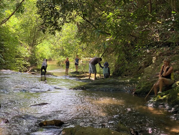 Un gruppo di persone in piedi vicino a un fiume che scorre in una zona boschiva.