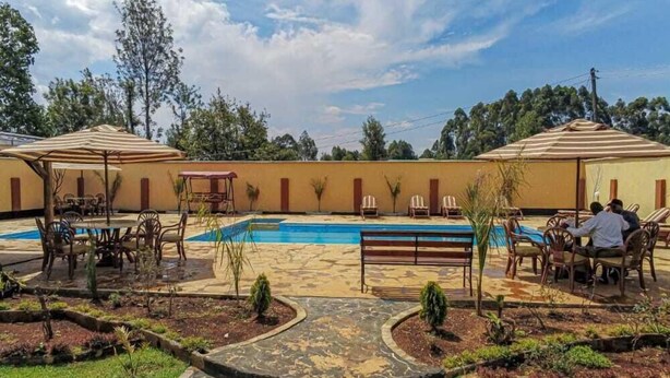 Zona de piscina con sillones de descanso y sombrillas, rodeada de un jardín ajardinado y un camino de piedra.
