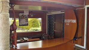Zona de recepción con mostrador de madera, una silla, un adorno colgante y una ventana con vista a follaje.