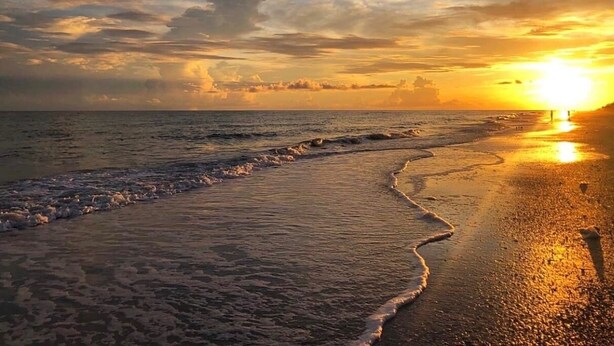 Une scène de plage avec des vagues venant lécher le rivage et un coucher de soleil en arrière-plan.