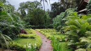 Un sendero de piedra serpentea por un exuberante jardín con diversas plantas tropicales y palmeras.