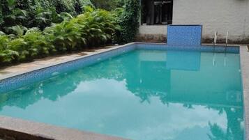 A rectangular swimming pool with a tiled edge, surrounded by stone tiles and lush greenery.