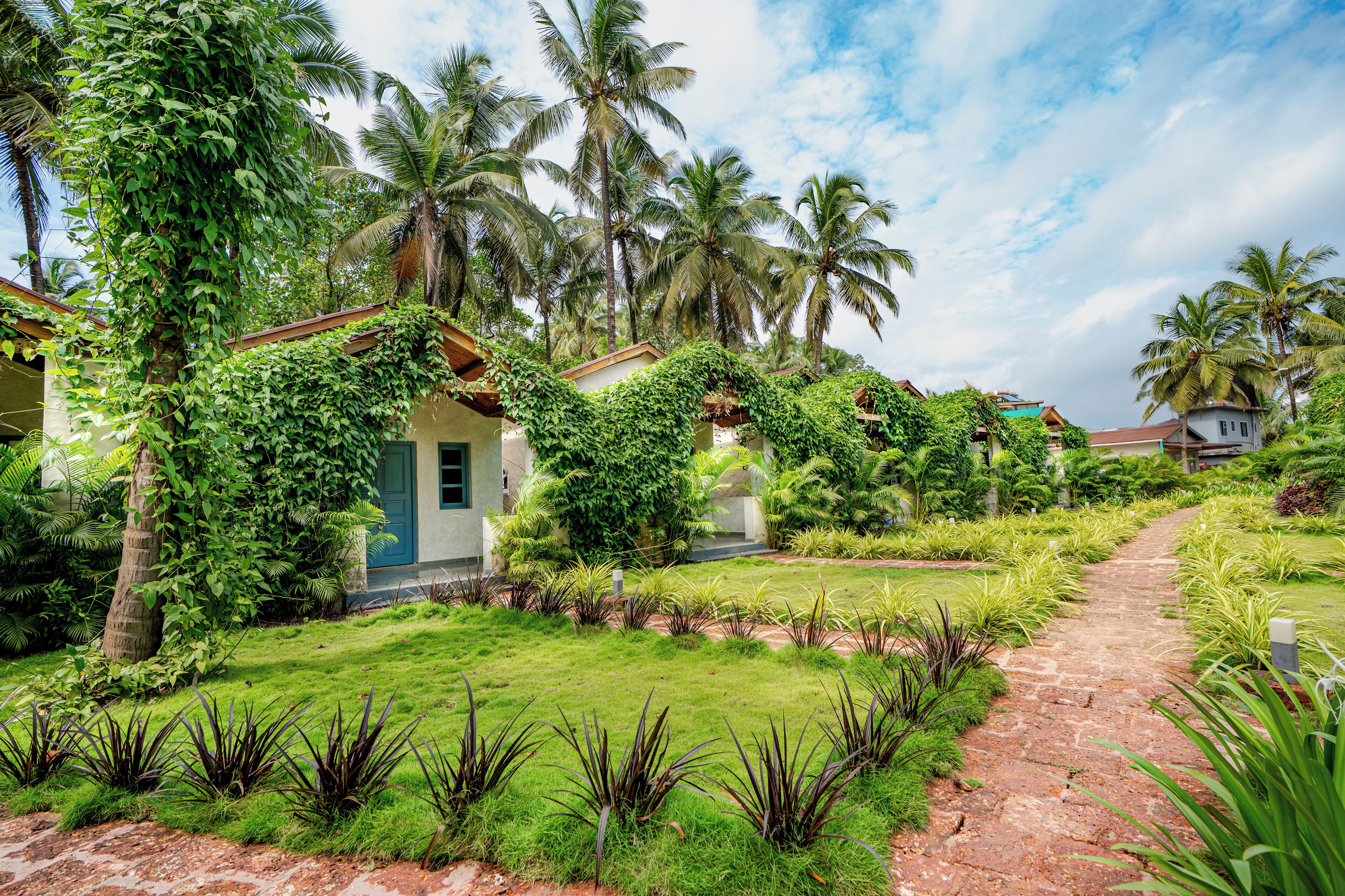 Superior Room | Free WiFi