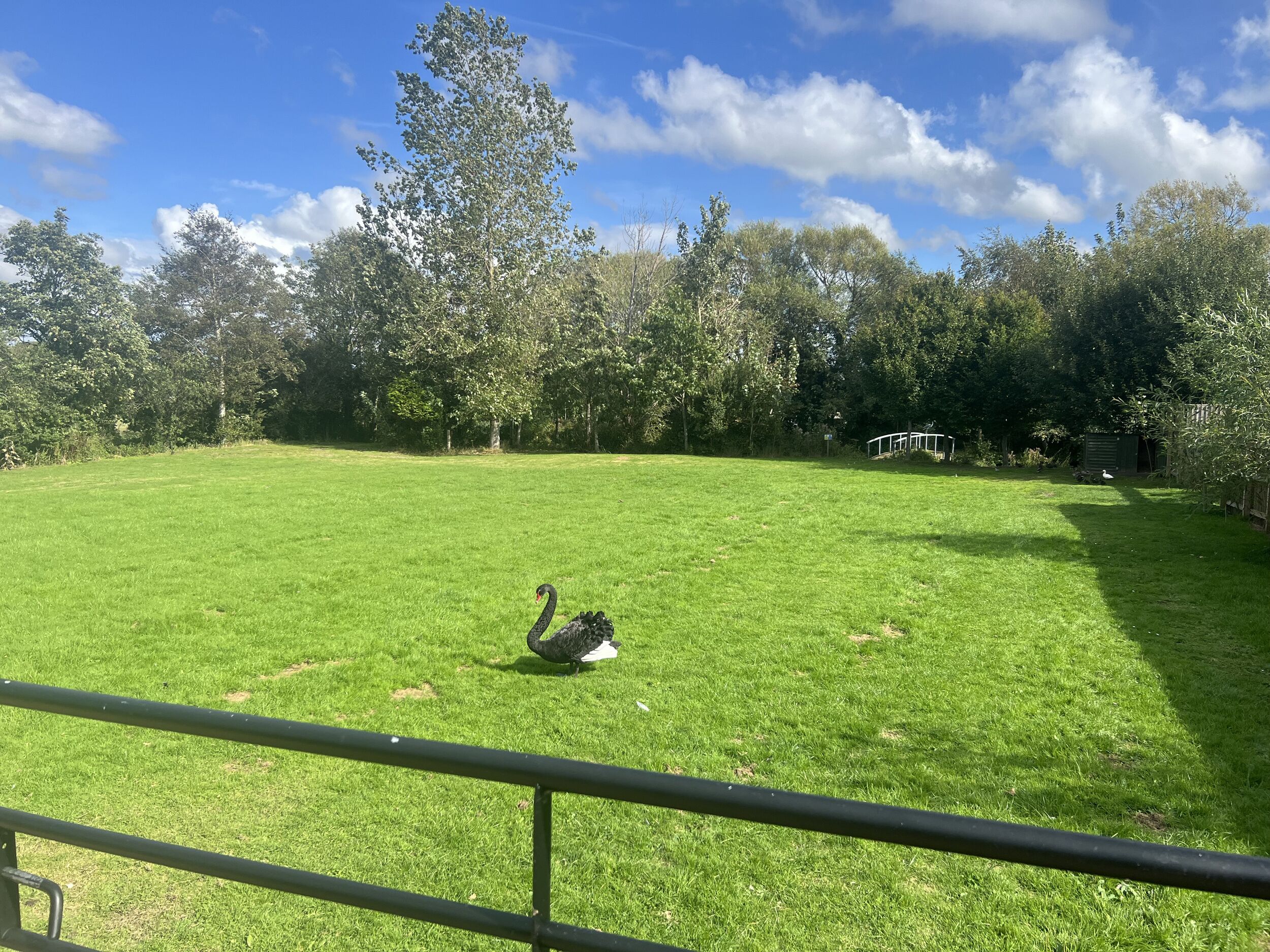 المنطقة المحيطة بالمنشأة