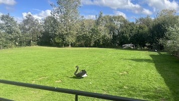 Cottage | Property grounds