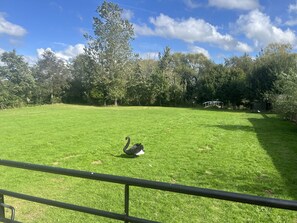 Cottage | Enceinte de l’hébergement