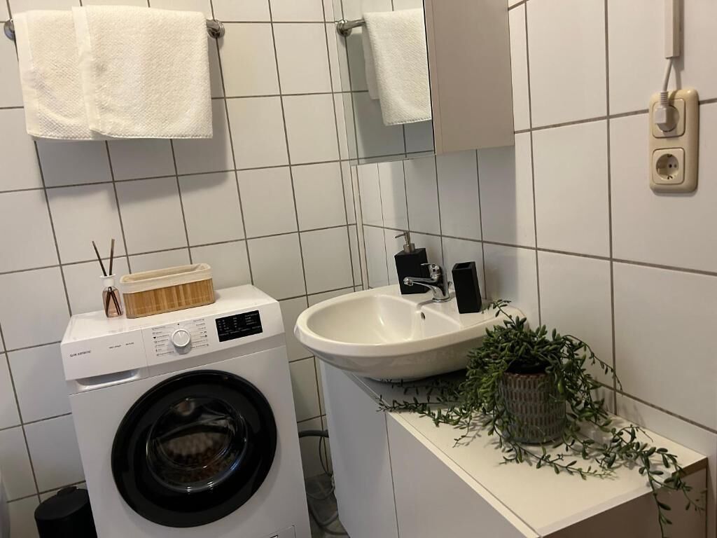 A compact bathroom with a washing machine, a sink, and a potted plant.