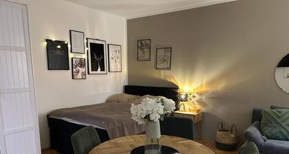 Faraway Homes Studios Pregarten