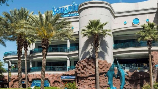 A building with a sign reading "Aquarium" and palm trees in front.