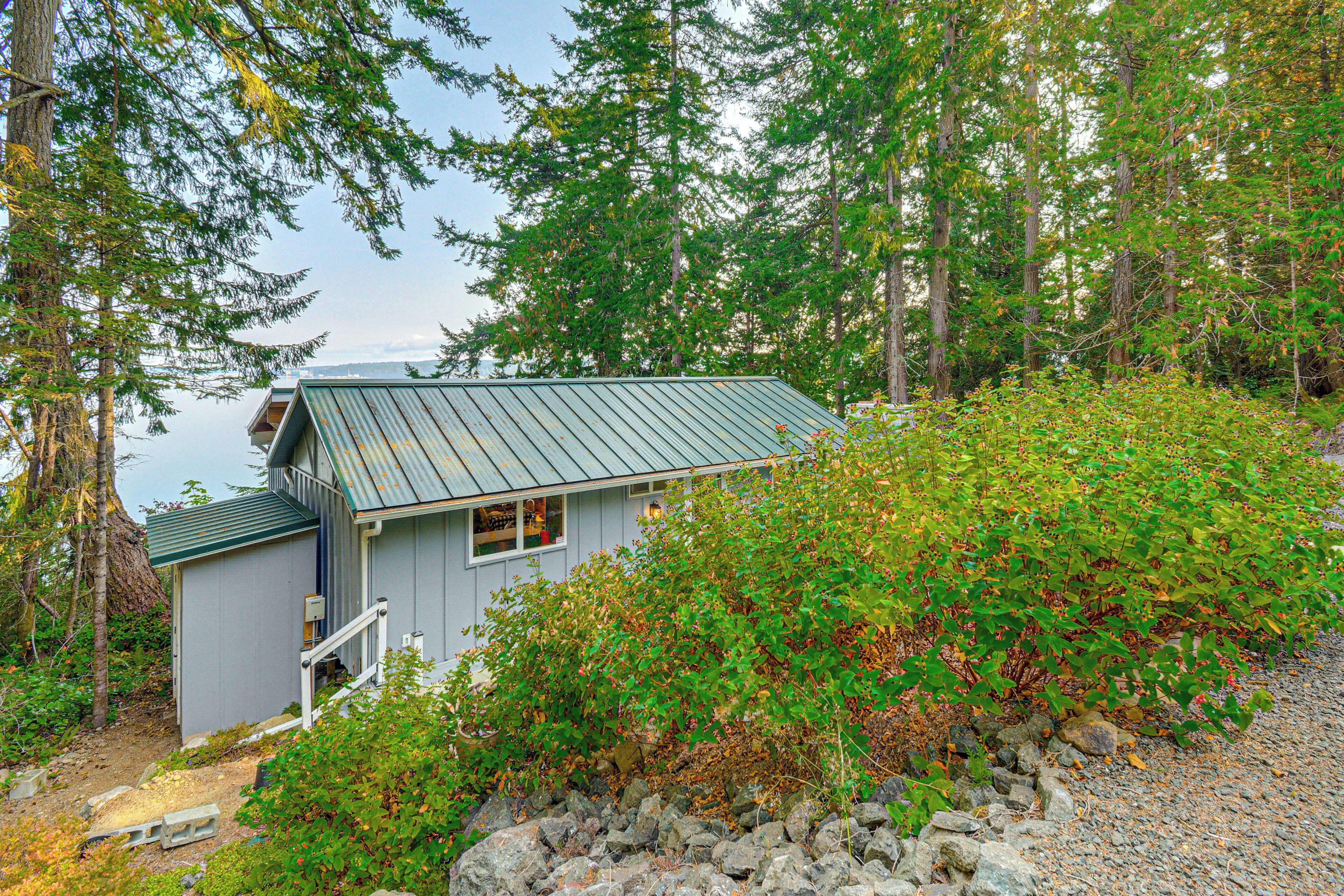 A cabin with a metal roof, surrounded by dense forest and a rocky ground.
