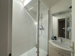 Shower, hair dryer, toilet paper