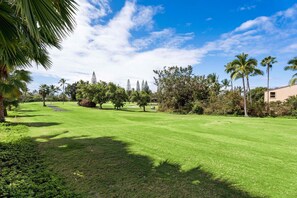 Property grounds - Keauhou Palena#602 Ground Floor Unit, No Stairs, On Golf Course! (Kailua Kona)