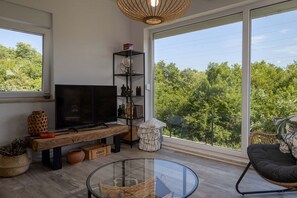 Televisión y chimenea 