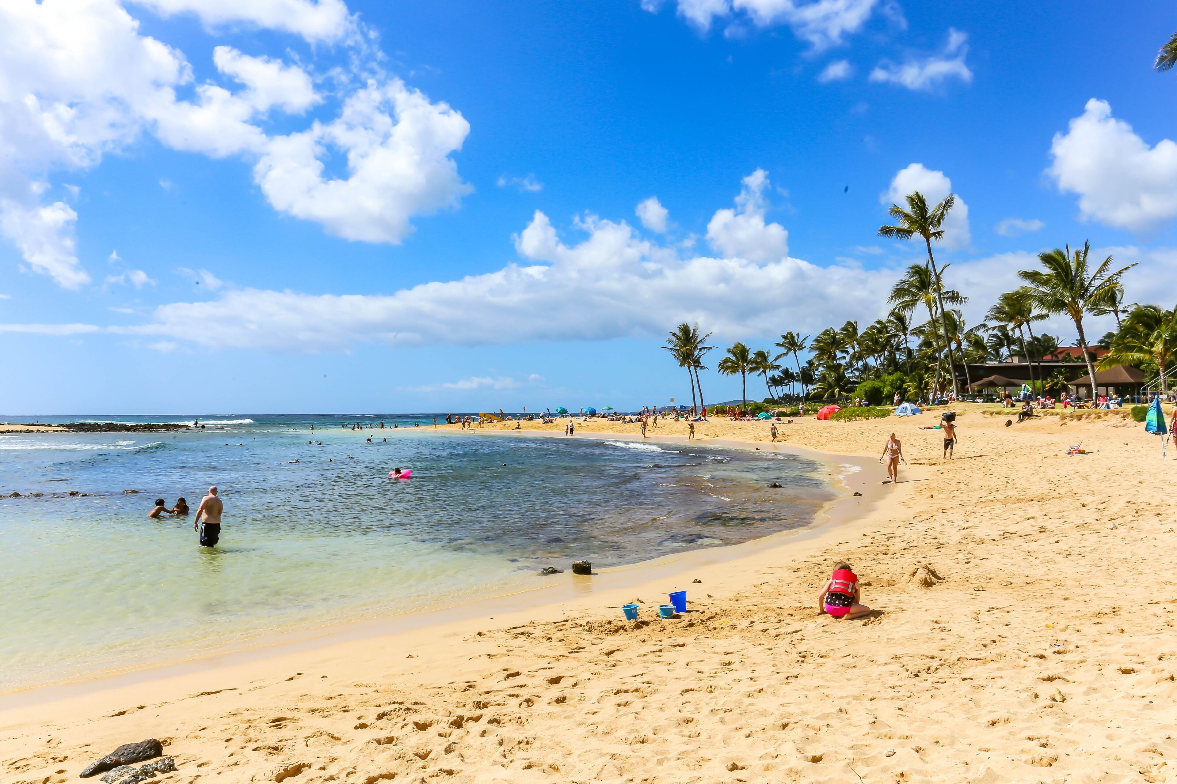 A beach with clear blue water, sandy shore, and palm trees.
