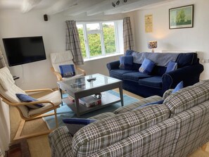 Smart TV, DVD player, books