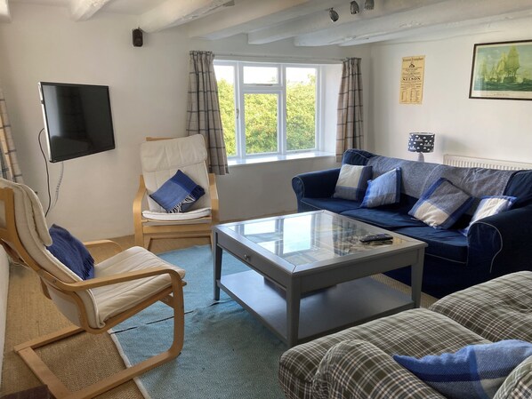 Smart TV, DVD player, books