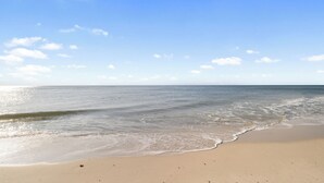 星評価なしの画像、4 / 55、ボタン