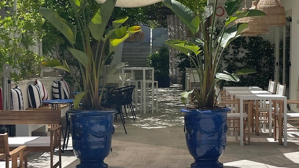 An outdoor patio area with tables and chairs, large potted plants, and a canopy providing shade. - Hotel Murè (Numana)