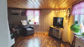 Télévision, cheminée