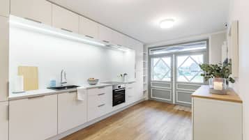 Kühlschrank, Ofen, Herdplatte, Geschirrspüler