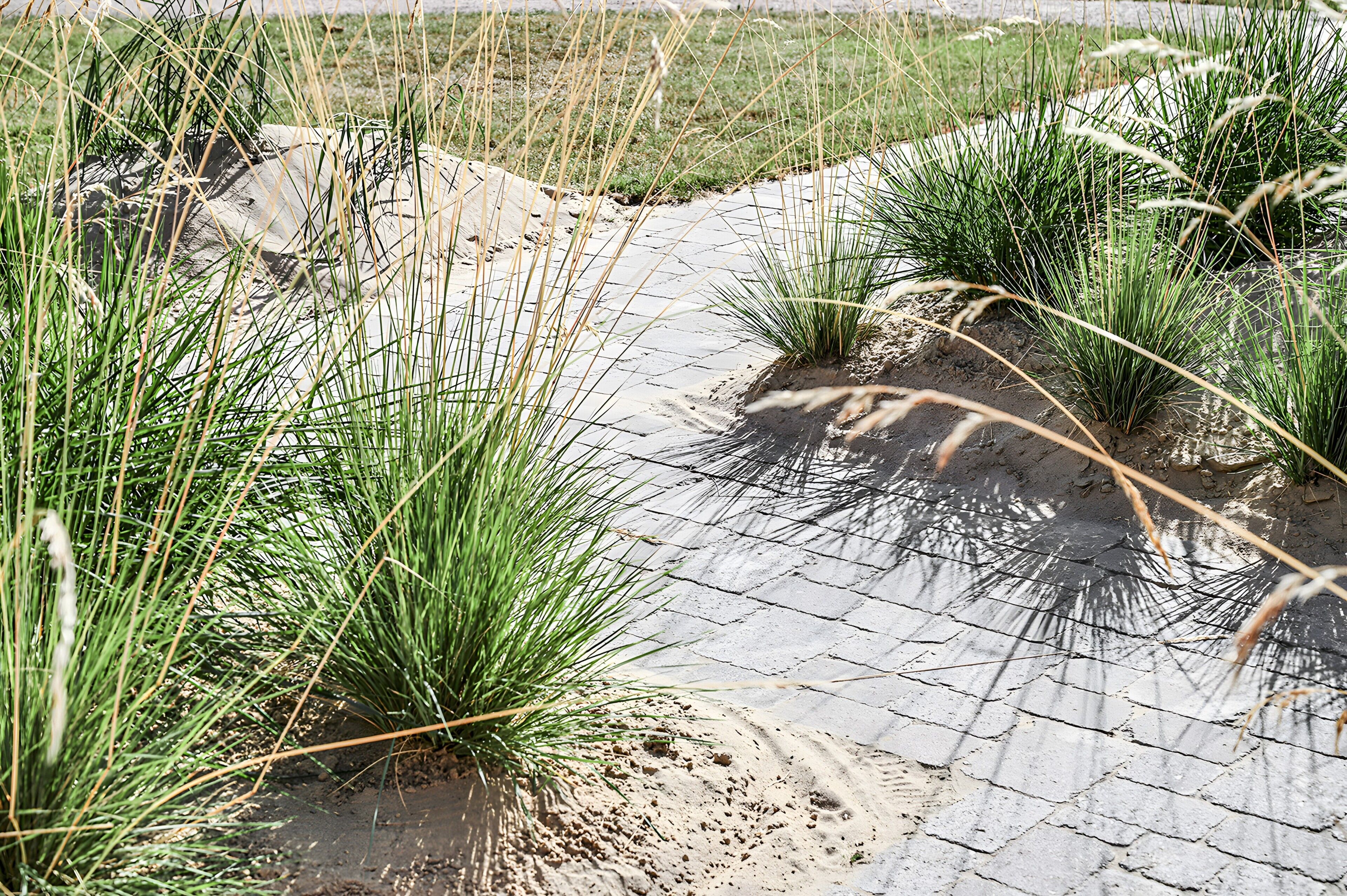 A paved pathway with sand and grass on either side.