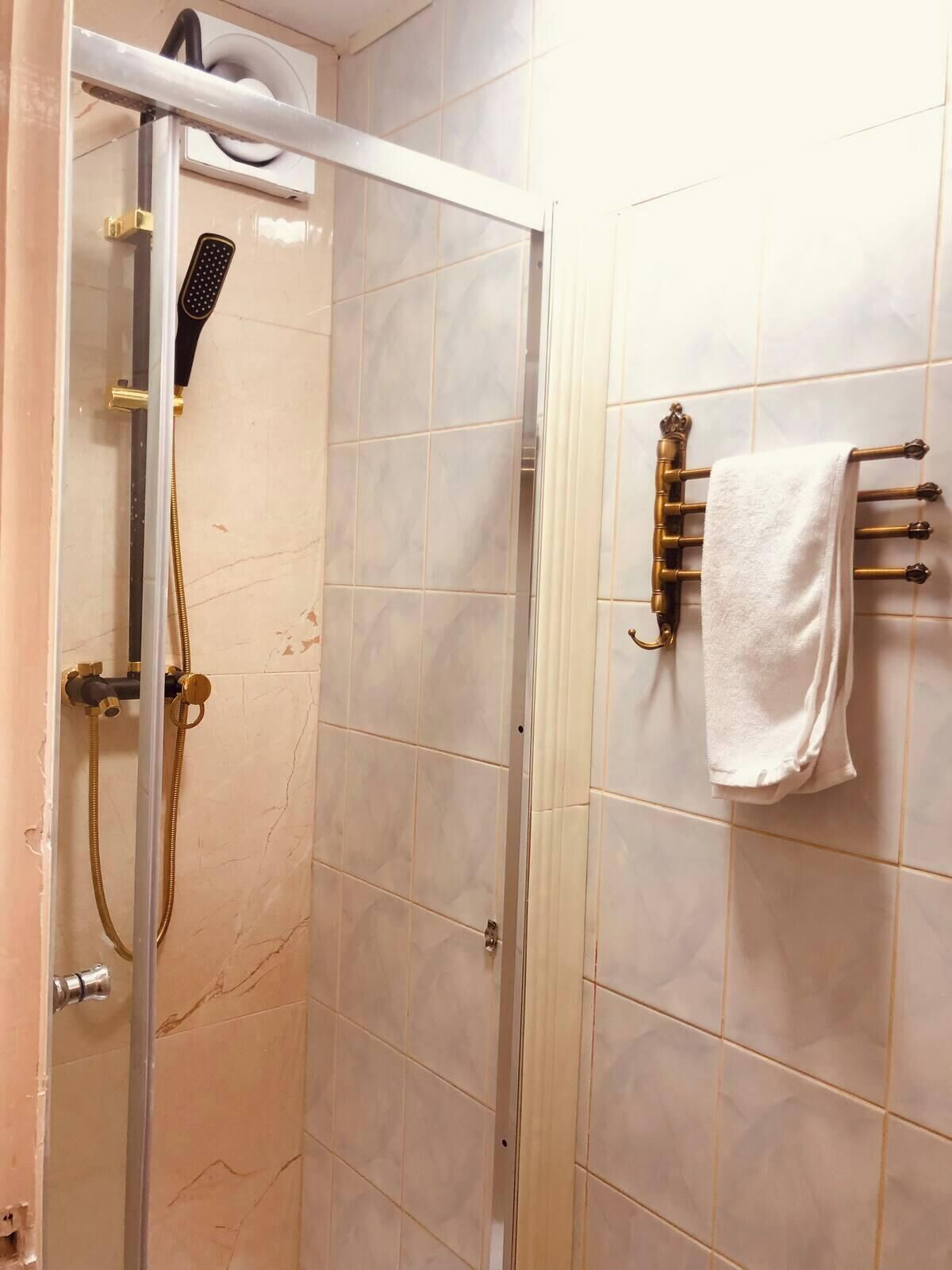 Shower, hair dryer, towels