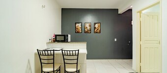 靠近机场的宠物友好型公寓  