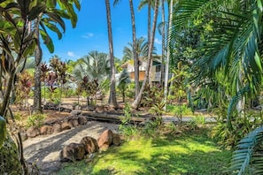 A tropical garden with palm trees, a stone pathway, and a house in the background.