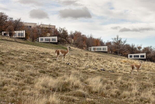 Εξωτερικοί χώροι