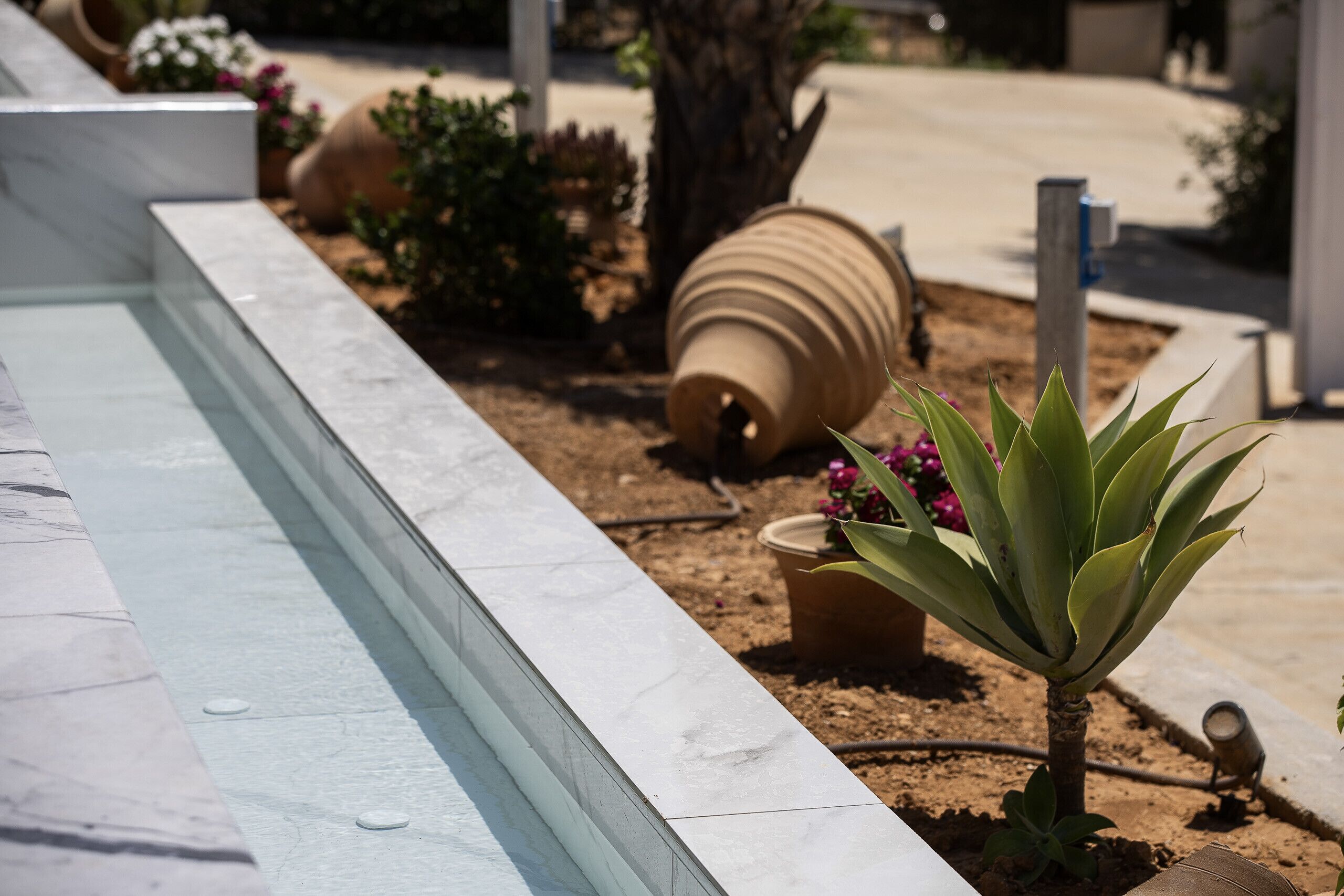 A garden with a marble planter, a small tree, and a potted plant.