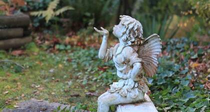 Langley Mid-Century Meets Modern Retreat