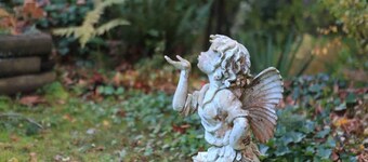 Langley Mid-Century Meets Modern Retreat