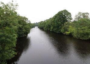 A river flanked by dense, green foliage. - Ewe Cottage (Ripon)