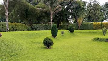 Jardin