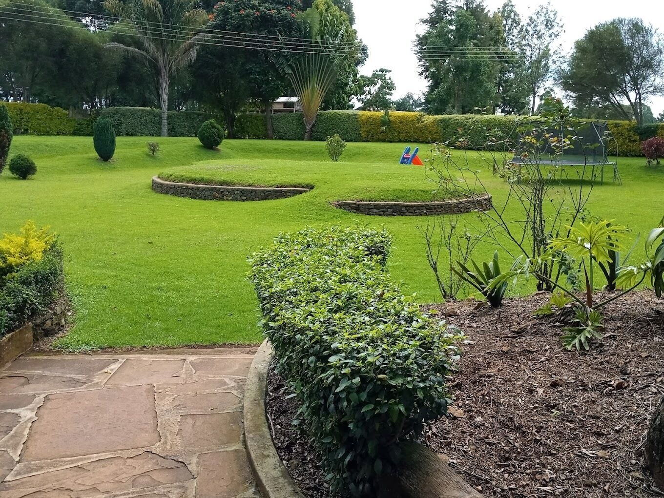 Un jardín cuidado con un camino de piedra que lleva a la entrada de un edificio.