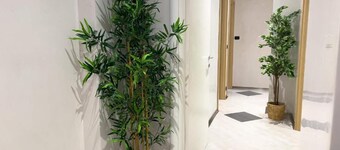 Sofia Guest House