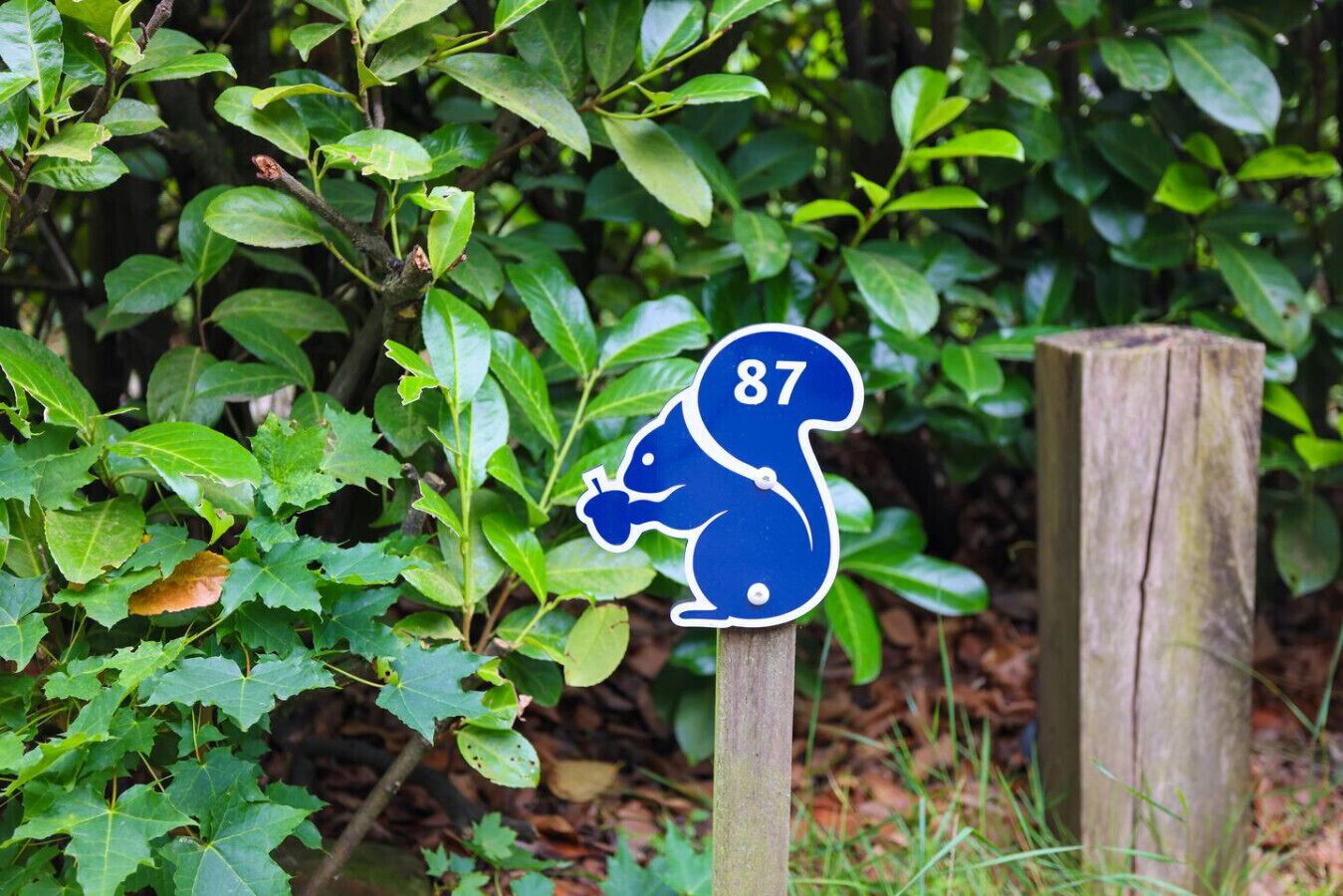Ein Holzpfosten mit einem blauen Schild, das die Nummer 87 und eine stilisierte Tierfigur zeigt.
