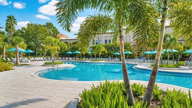 A pool area with lounge chairs and umbrellas, surrounded by palm trees and a building in the background.
