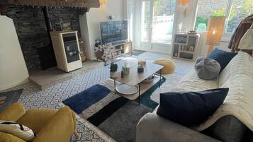 TV connectée, cheminée, livres, chaßne hi-fi