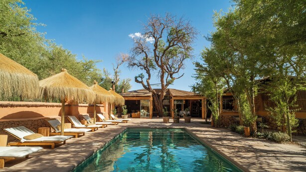 Un espace piscine avec des chaises longues et un arbre au centre.