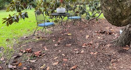 Magnolia House Bed & Breakfast