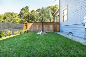 Immagine non classificata, 5 di 57, pulsante