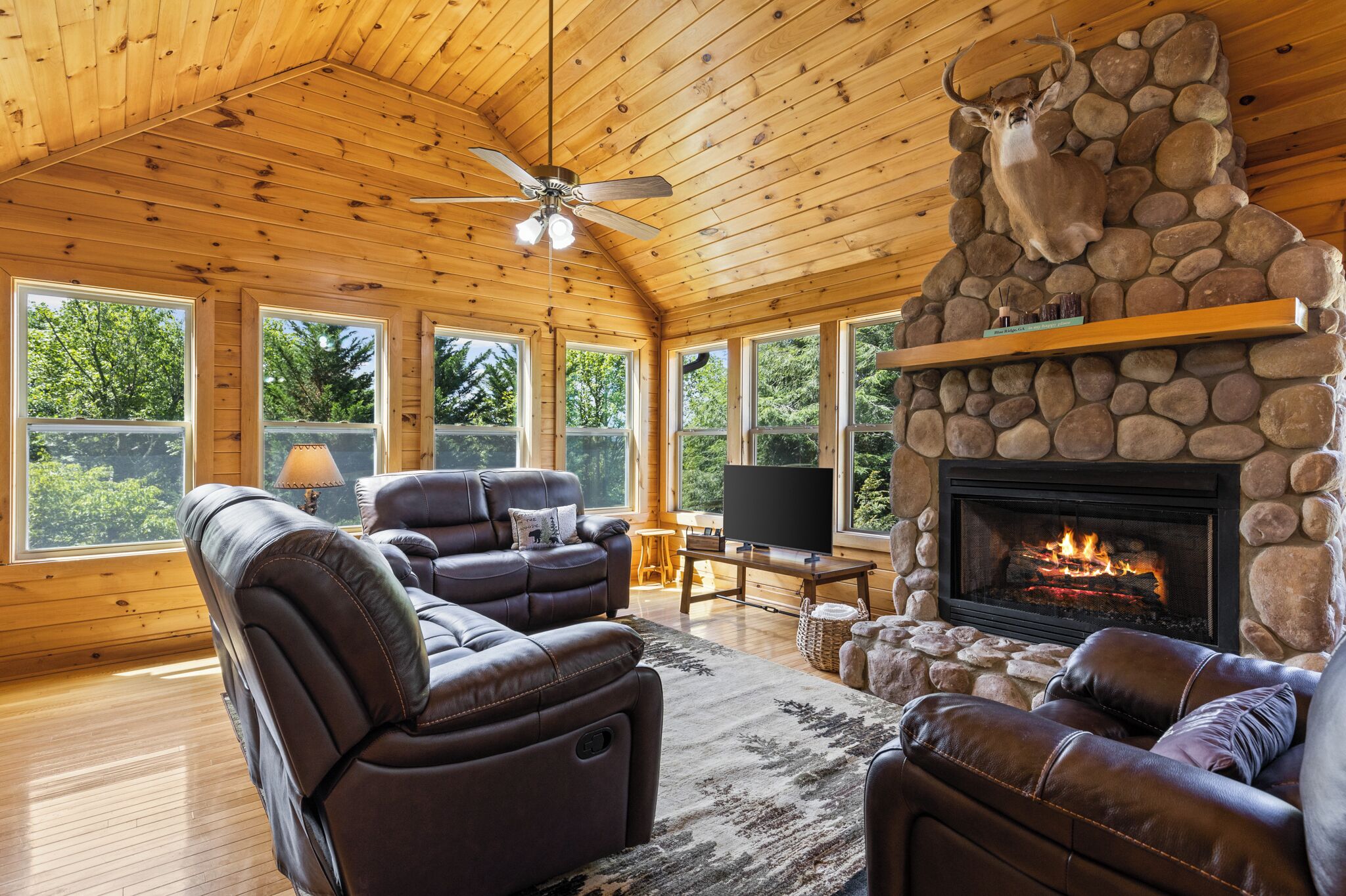 Smart TV, fireplace, table tennis, books