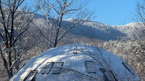 A snow-covered dome-shaped building with a window and a door, surrounded by bare trees and mountains in the background. - The Moon House Dome: 10 min away from skiing and golfing. Waterfront. Fishing. (Acra)