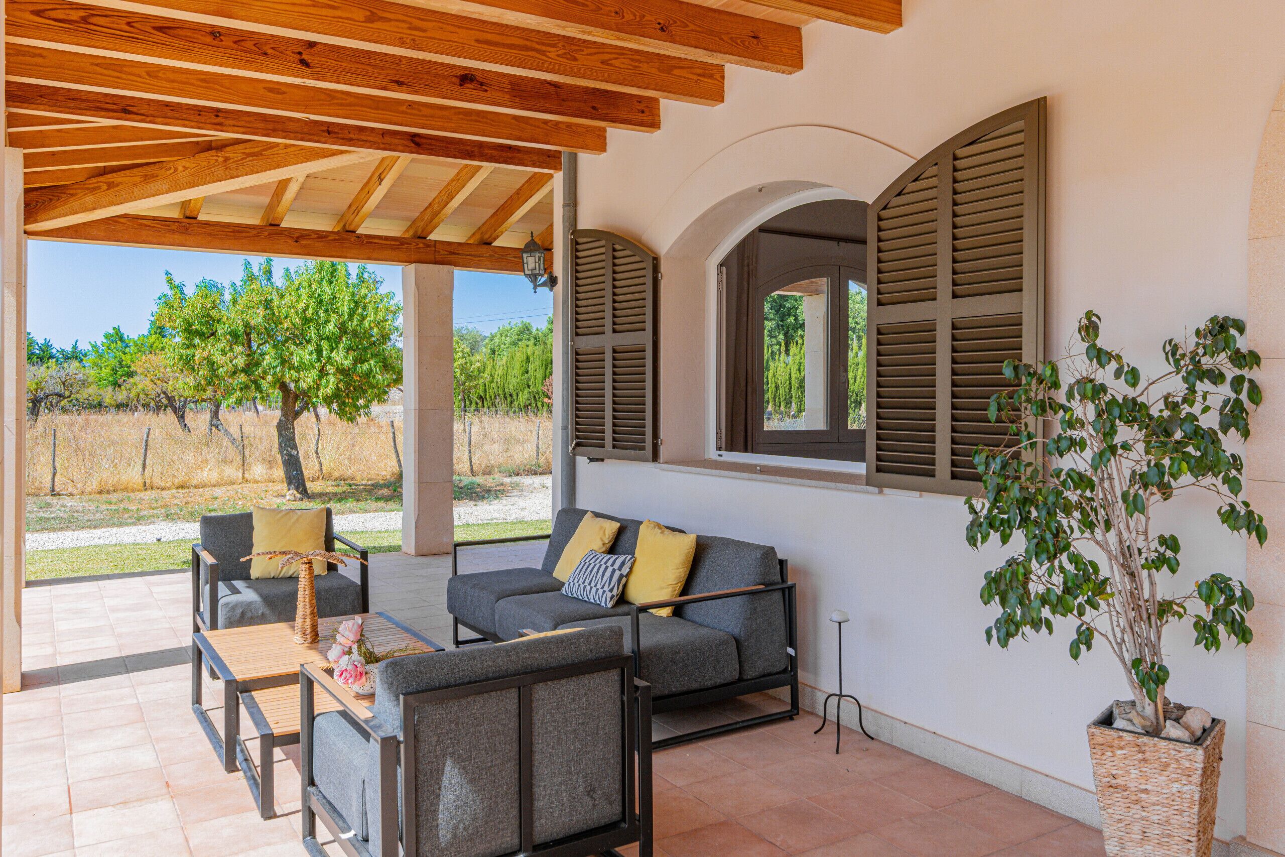 テラス / パティオ