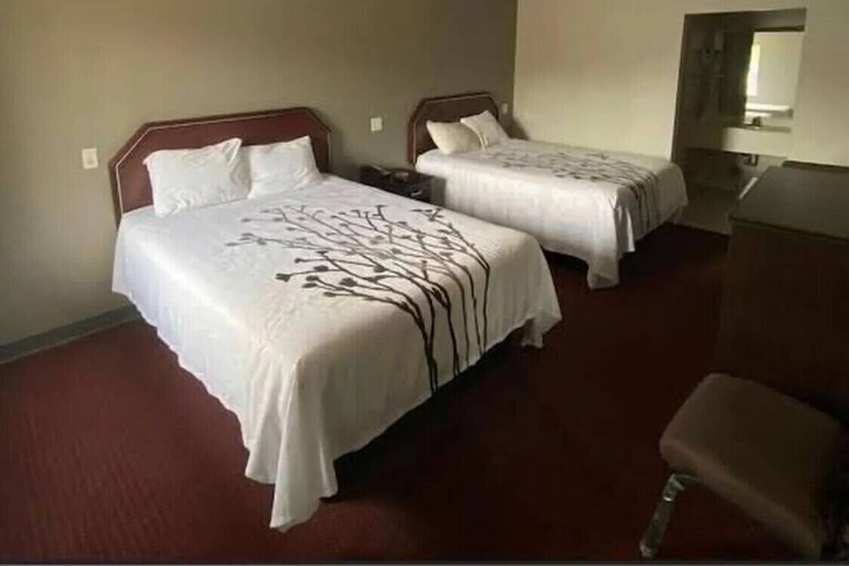 Double Room, Garden View | Desk, free WiFi