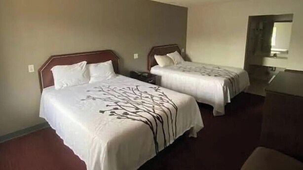Double Room, Garden View - deluxe inn motel (Erie)