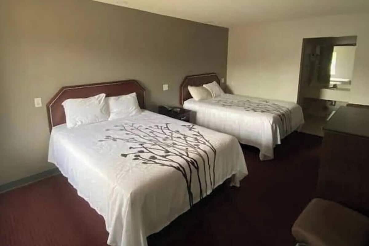 Chambre double, vue sur le jardin | Bureau, accĂšs au Wi-Fi (inclus)